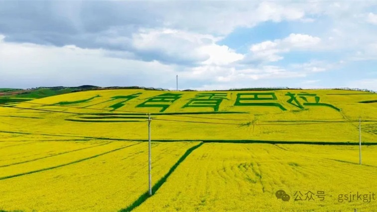金控甘南担保助力合作市油菜花海项目  跑出乡村振兴“加速度” 金控甘南担保助力合作市油菜花海项目  跑出乡村振兴“加速度”